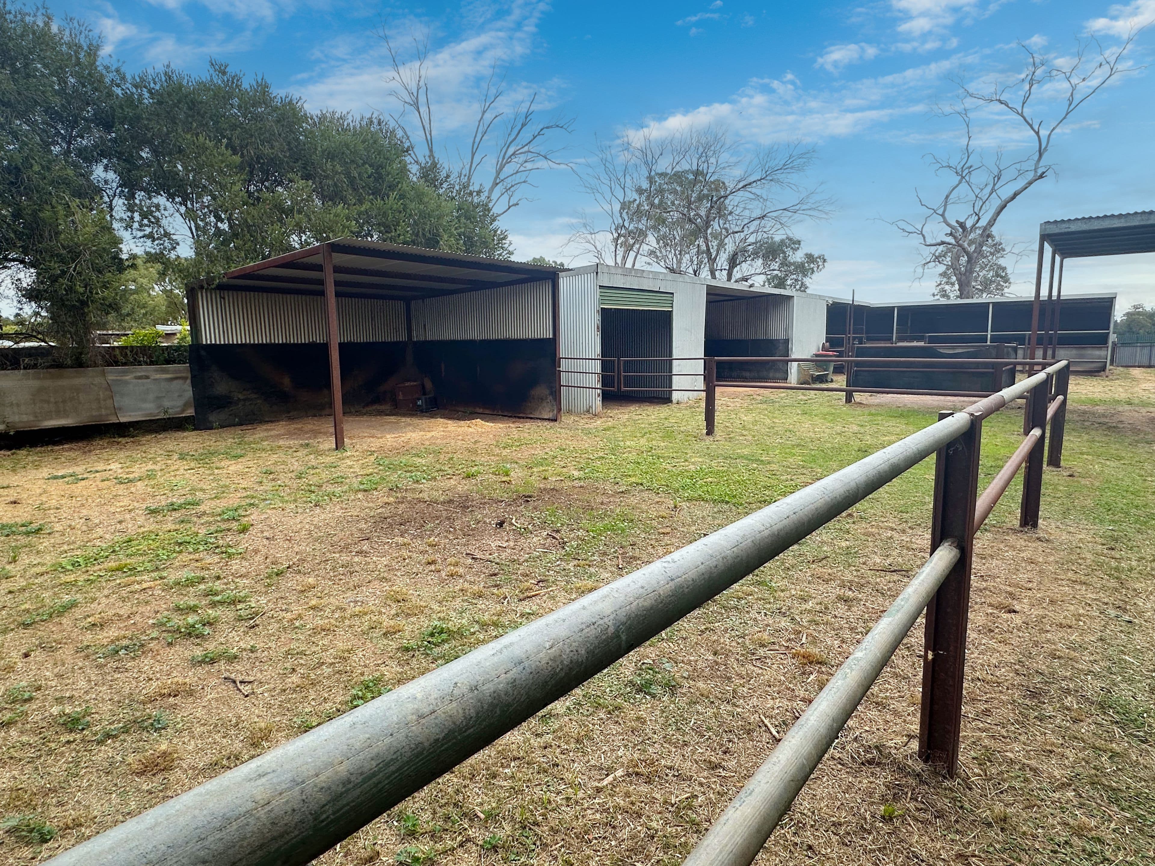 18 Long Street, Trundle NSW 2875, Trundle - Thumbnail 5