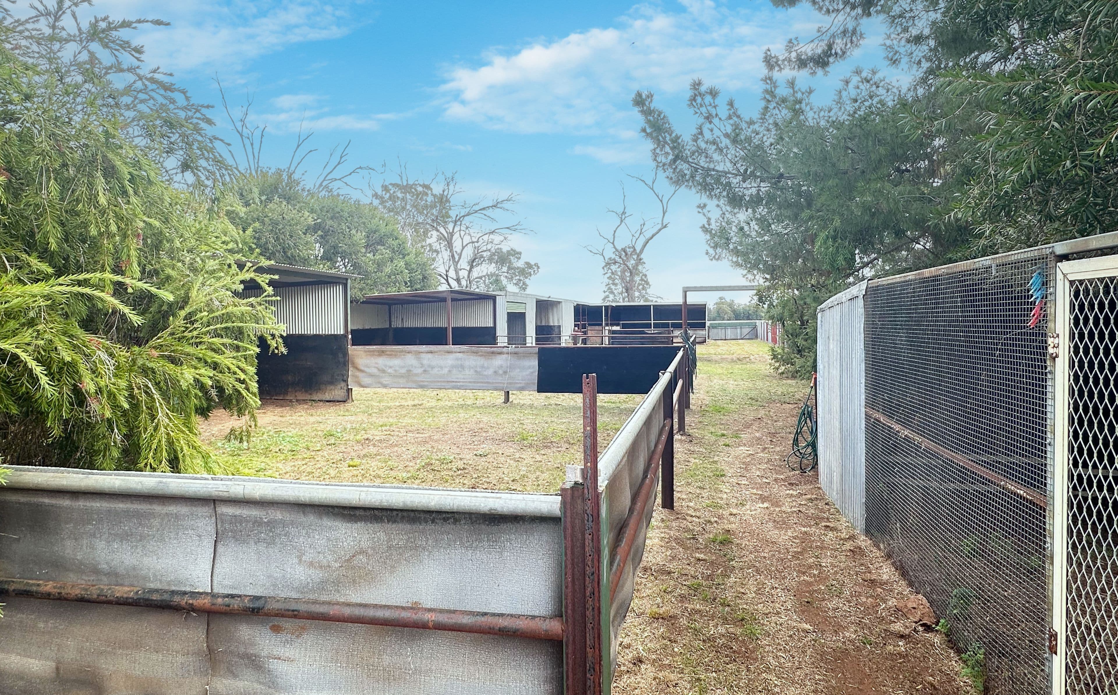 18 Long Street, Trundle NSW 2875, Trundle - Thumbnail 6