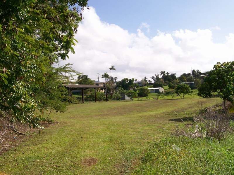 30 Cahill Street, East Innisfail QLD 4860, East Innisfail - Thumbnail 3