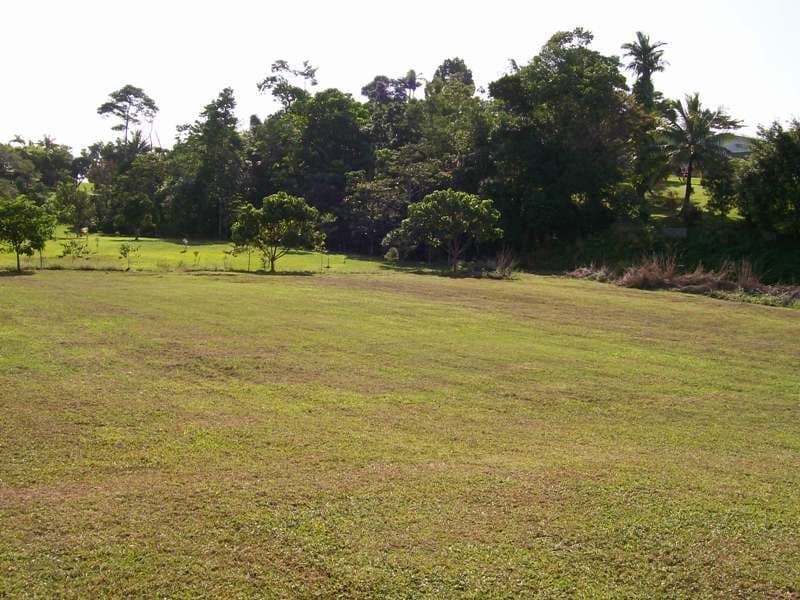 30 Cahill Street, East Innisfail QLD 4860, East Innisfail - Thumbnail 6