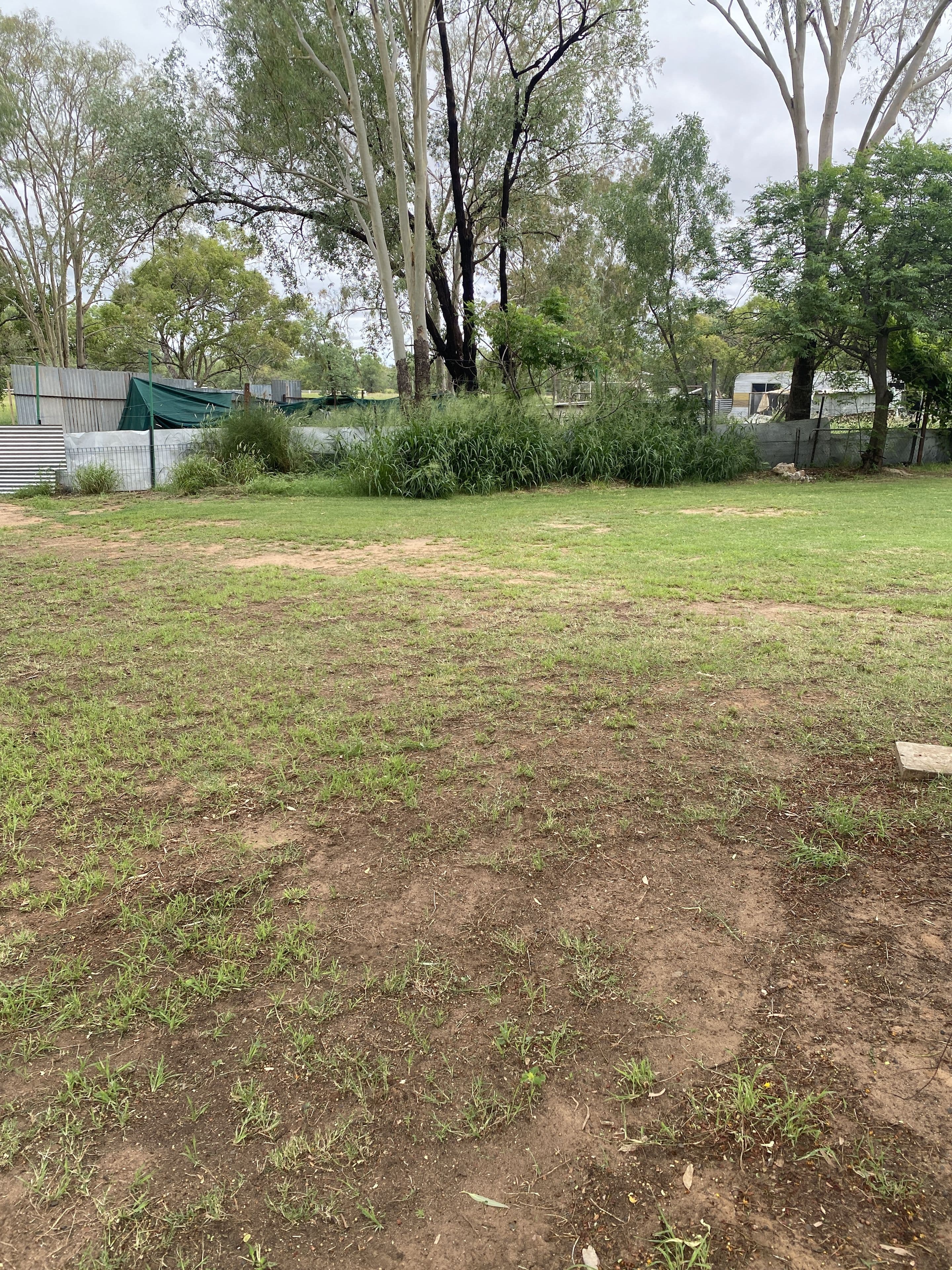 5 Carter Street, Charleville QLD 4470, Charleville - Thumbnail 7