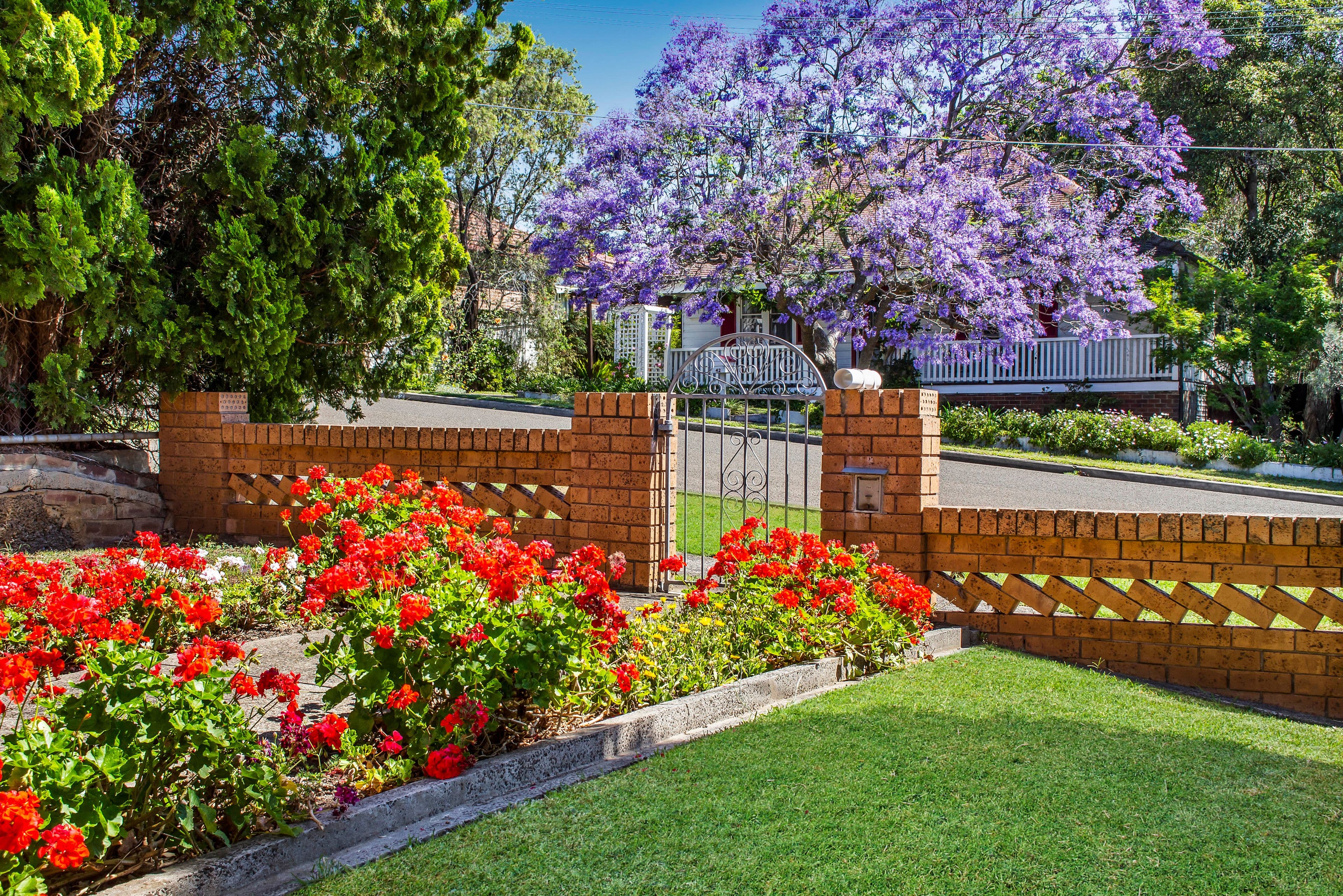 35 Tyrell Street, Gladesville - Thumbnail 2