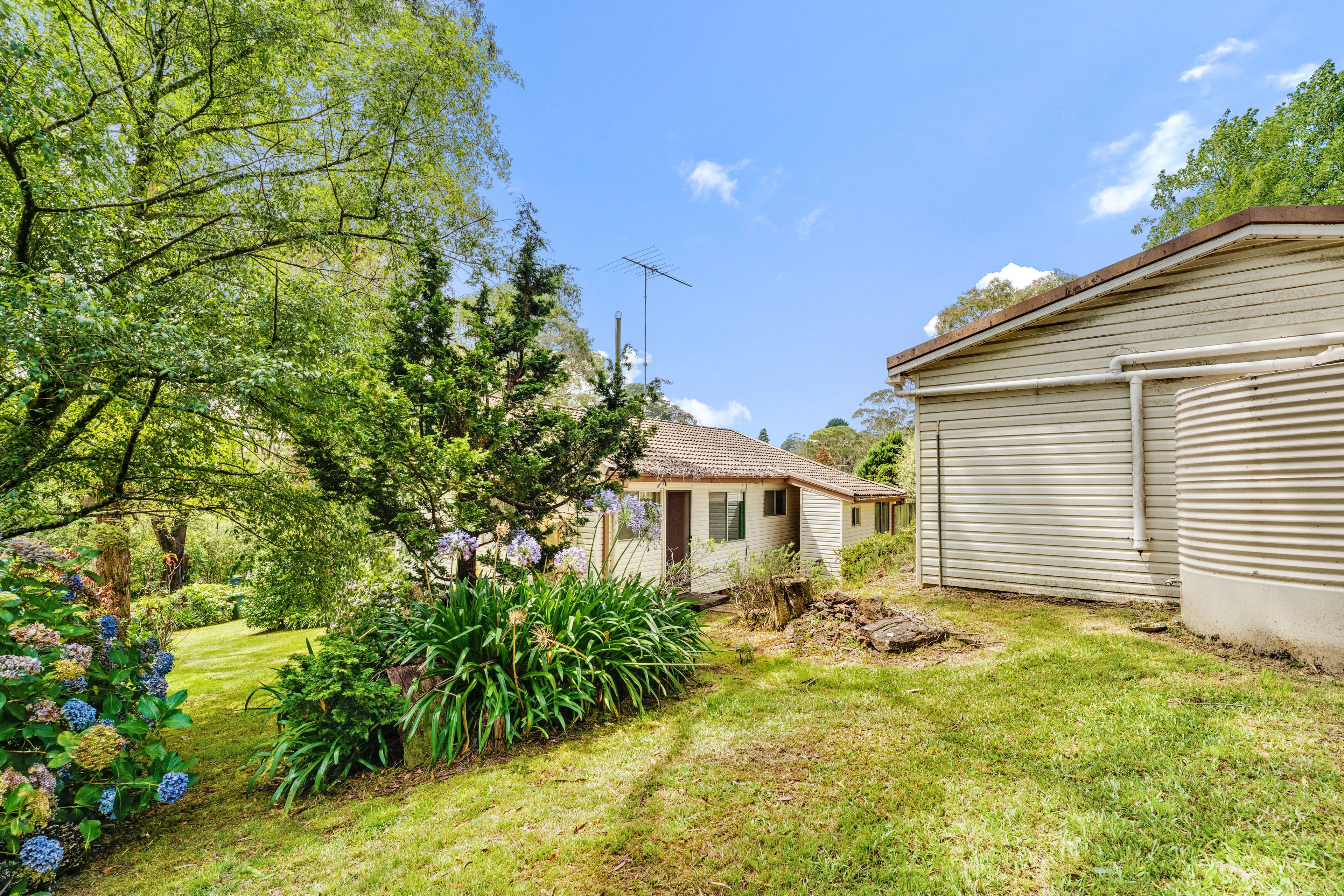 36 Shipley Road, Blackheath NSW 2785, Blackheath - Thumbnail 7