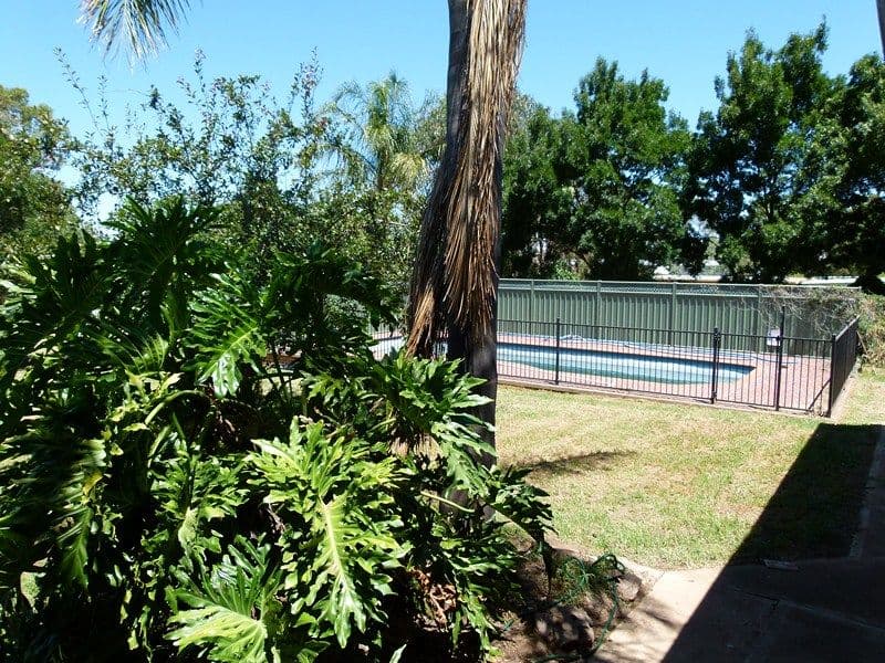 8 Brahman Street, FORBES NSW 2871, Forbes - Thumbnail 2