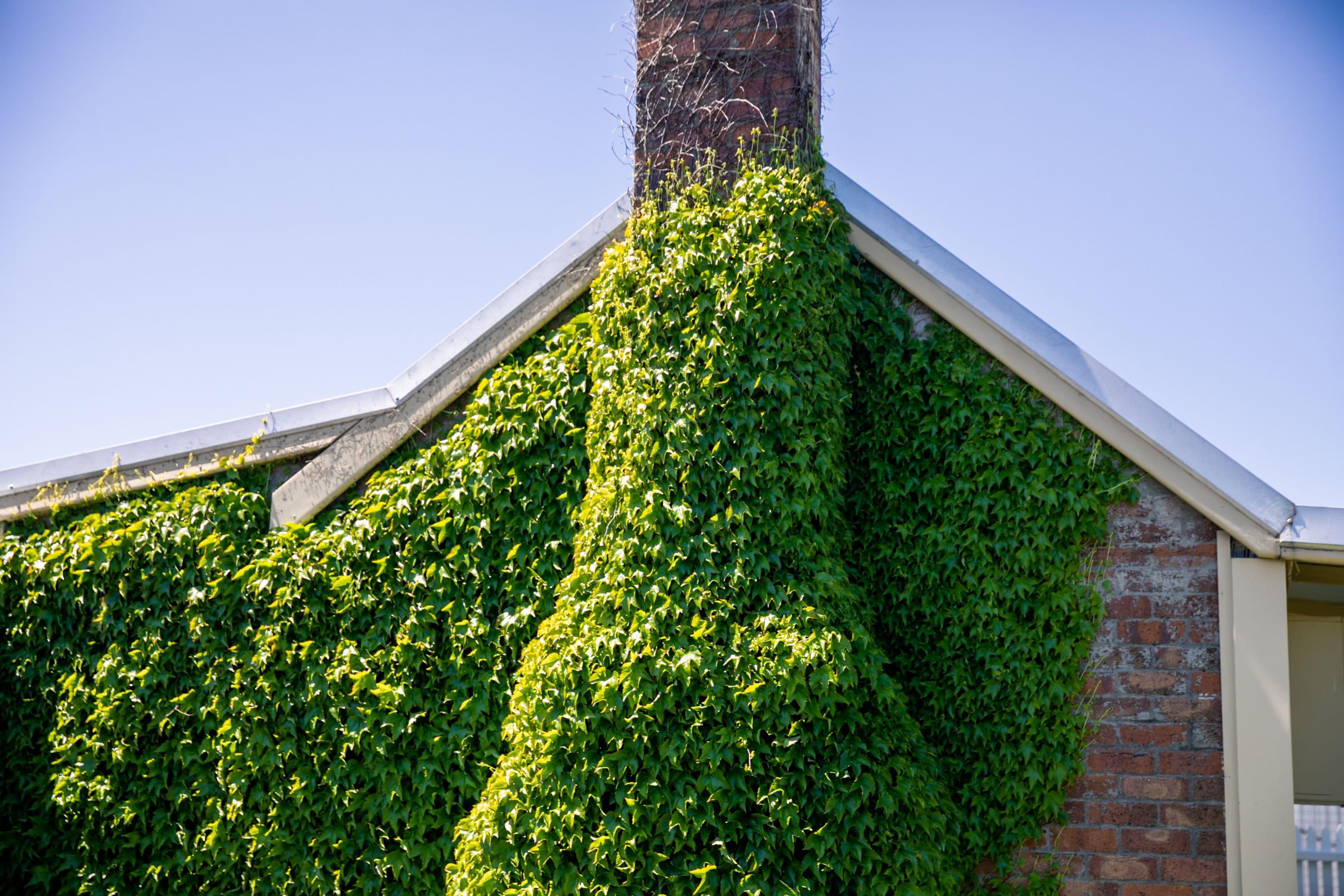 90 Laggan Road, Crookwell NSW 2583, Crookwell - Thumbnail 4