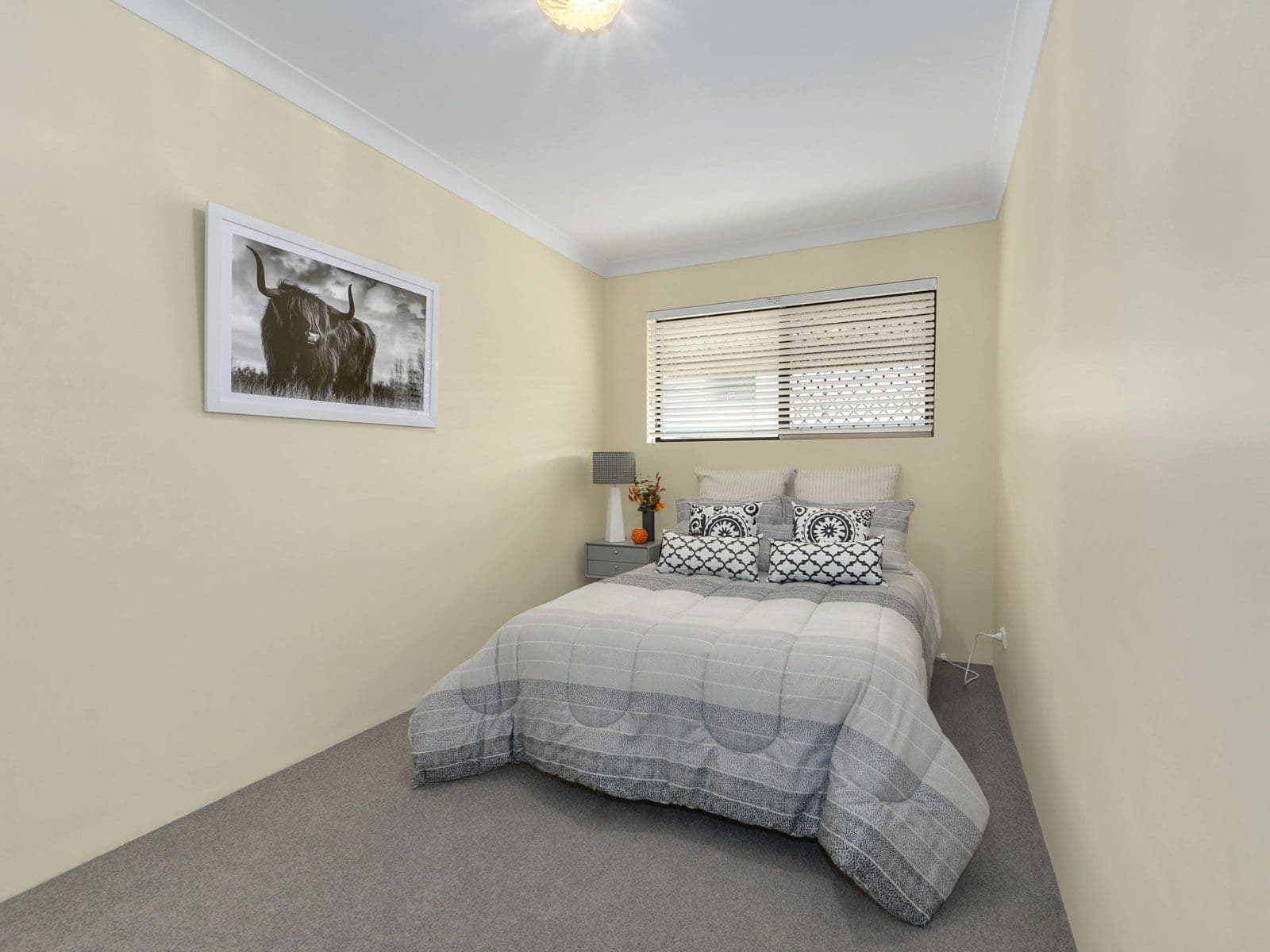 15 York Street, Nundah QLD 4012, Nundah - Thumbnail 6