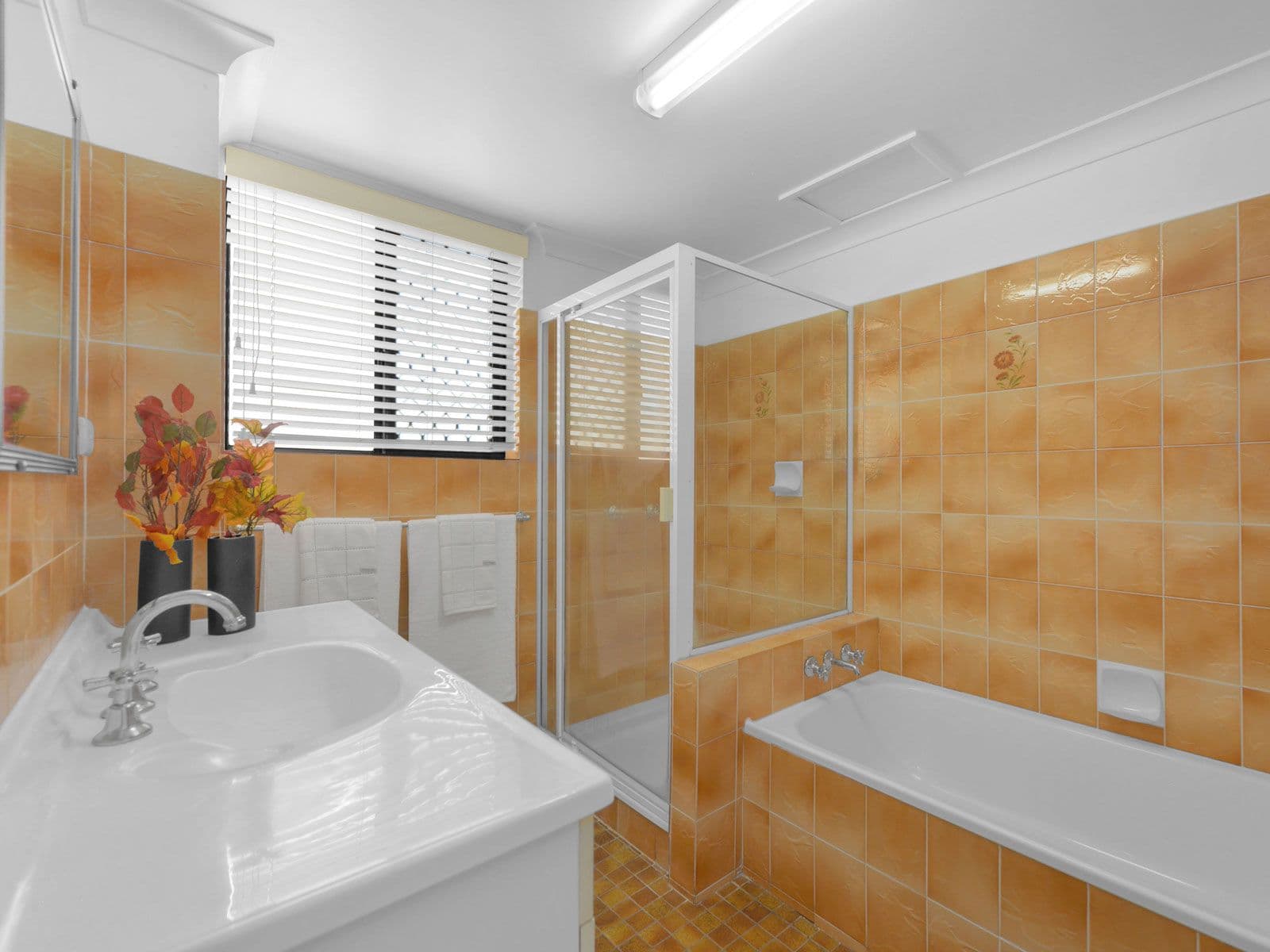 15 York Street, Nundah QLD 4012, Nundah - Thumbnail 7