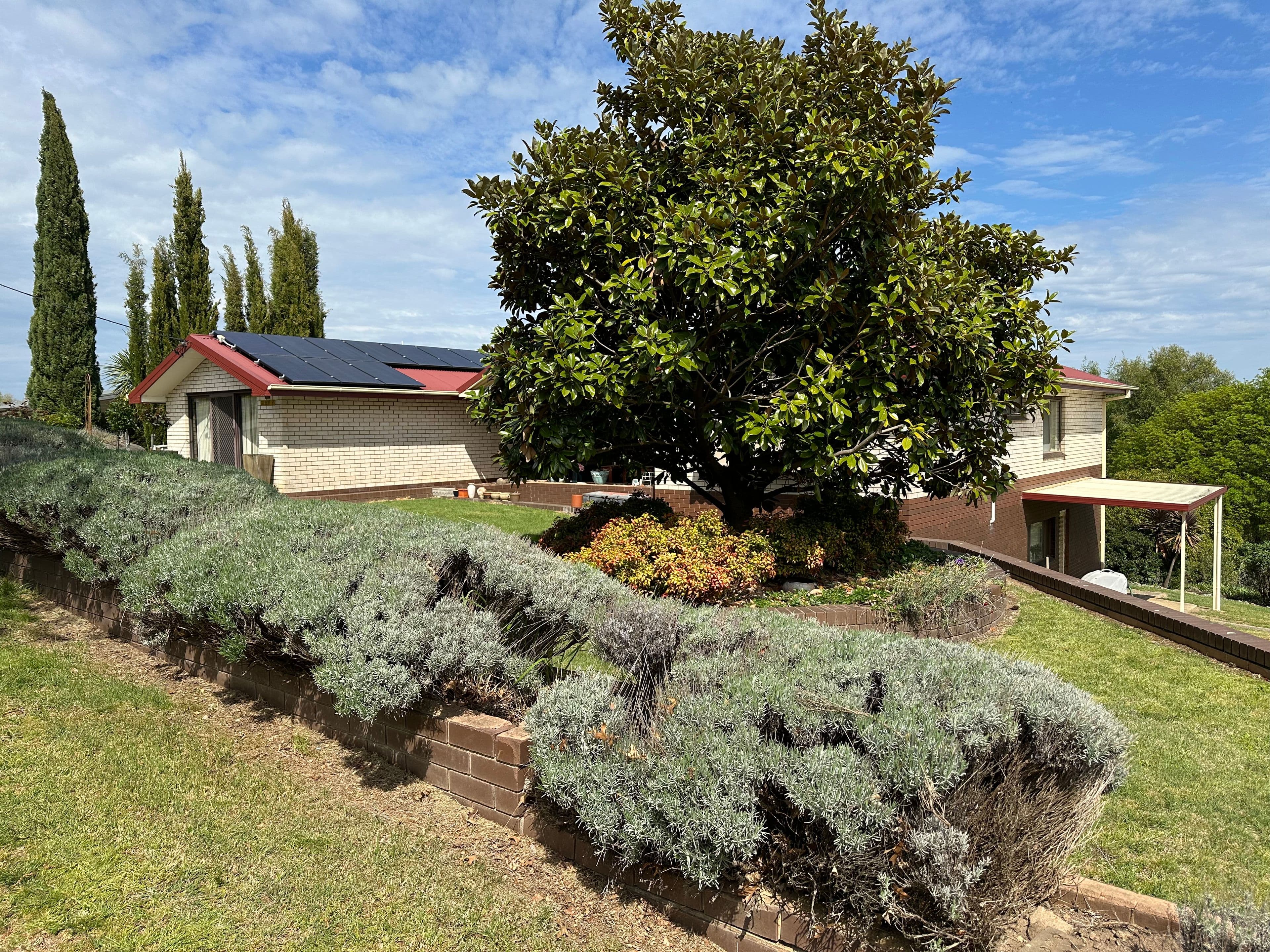 95 Gilbert Street, Tumbarumba NSW 2653, Tumbarumba - Thumbnail 2