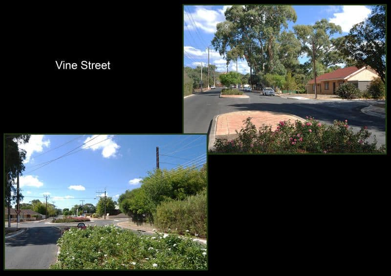 6 Vine Street, MAGILL SA 5072, Magill - Thumbnail 8