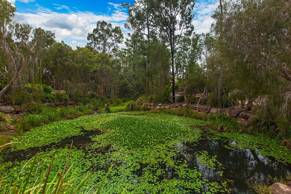 10 Emerson Close, Springfield Lakes QLD 4300, Springfield Lakes - Thumbnail 6