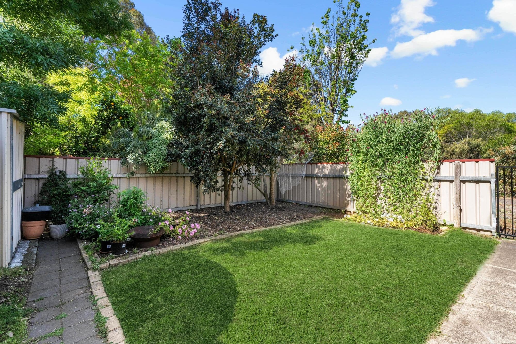 71 Bridge Road, Langhorne Creek SA 5255, Langhorne Creek - Thumbnail 8