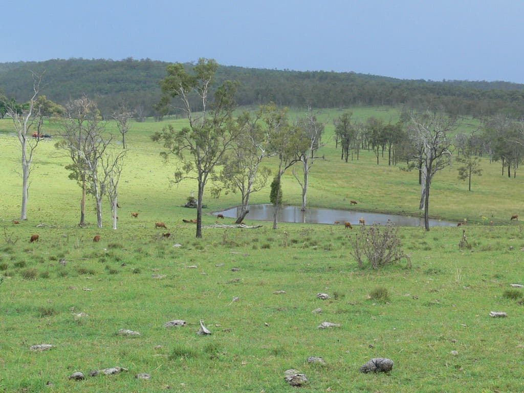 3143 Wivenhoe Somerset Road, CROSSDALE QLD 4312, Crossdale - Image 1