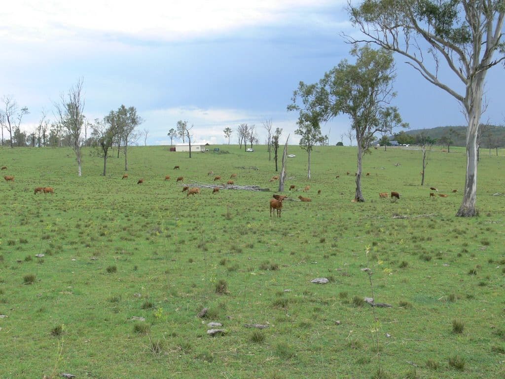 3143 Wivenhoe Somerset Road, CROSSDALE QLD 4312, Crossdale - Thumbnail 7