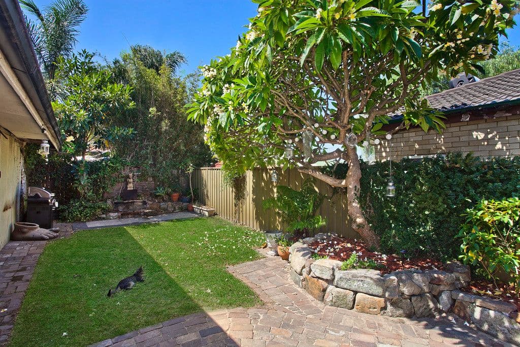 65 Hart Street, Tempe - Thumbnail 3