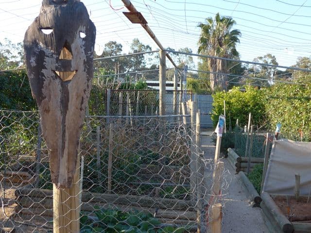 11 Sutton Street, COBDOGLA SA 5346, Cobdogla - Thumbnail 7