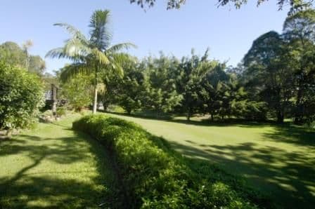 TALLAI QLD 4213, Tallai - Thumbnail 6