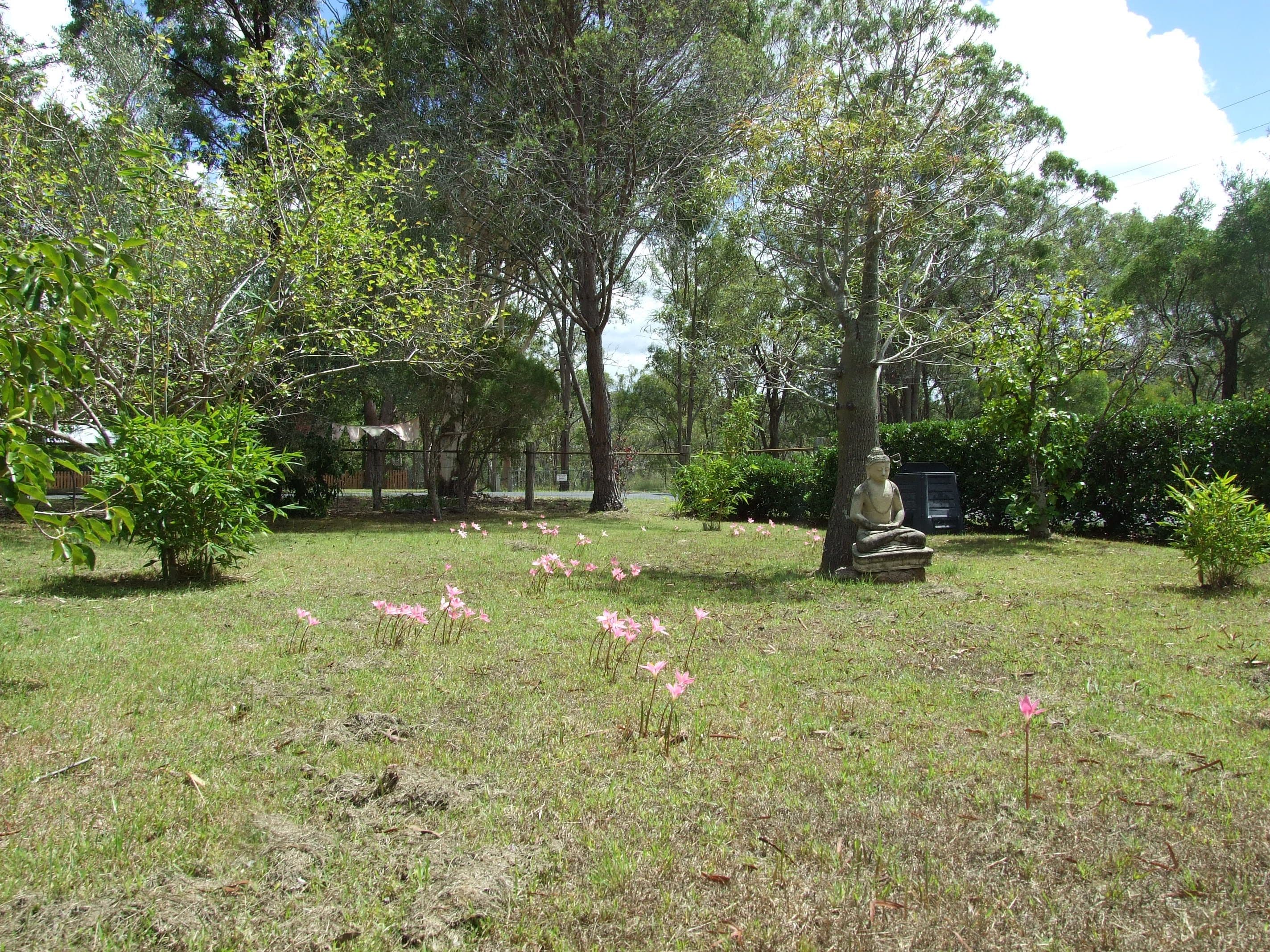 11 Jones Street, Crows Nest QLD 4355, Crows Nest - Thumbnail 2