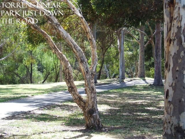 1 Matt Street, LOCKLEYS SA 5032, Lockleys - Thumbnail 5