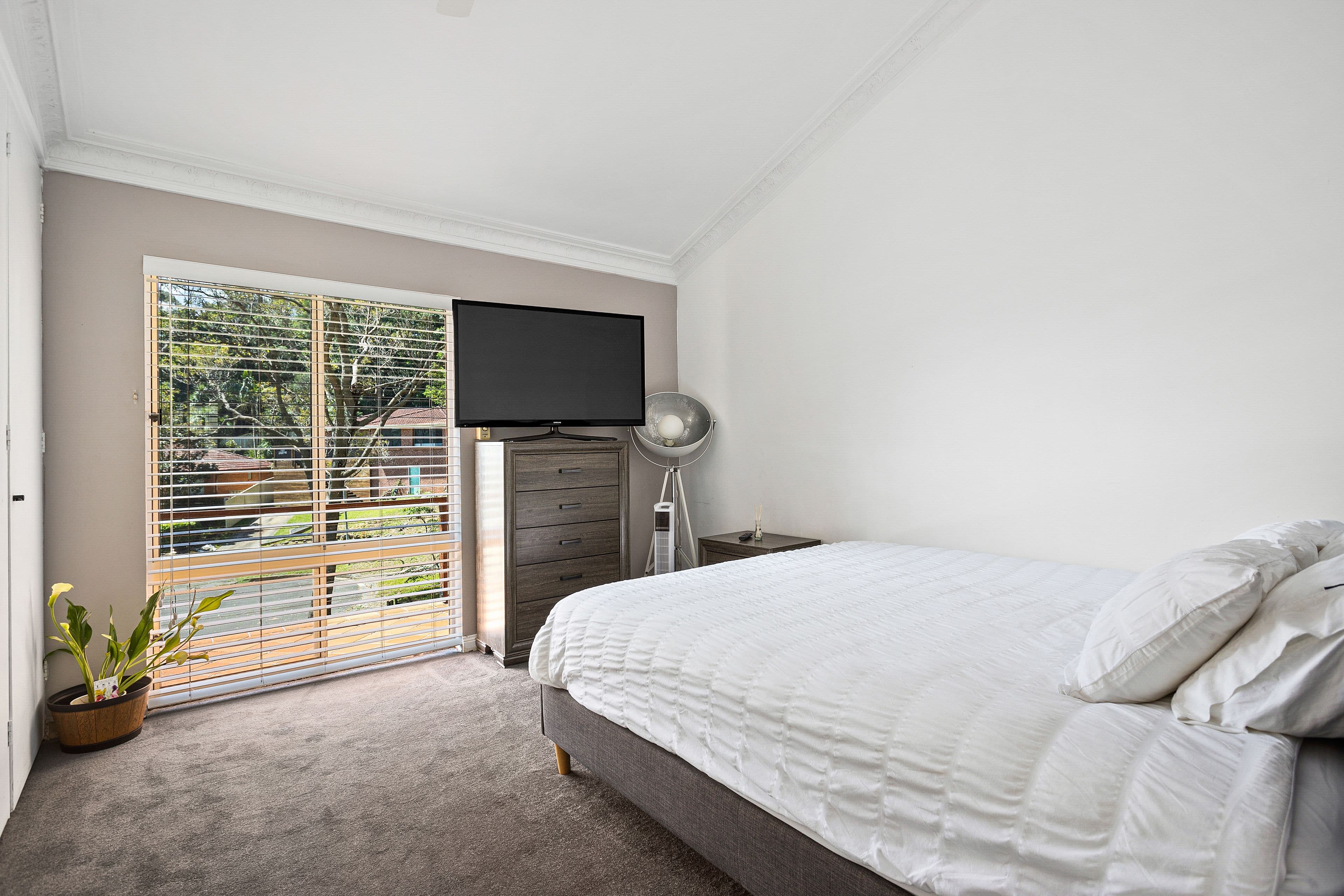 8 Digby Close, Albion Park NSW 2527, Albion Park - Thumbnail 4