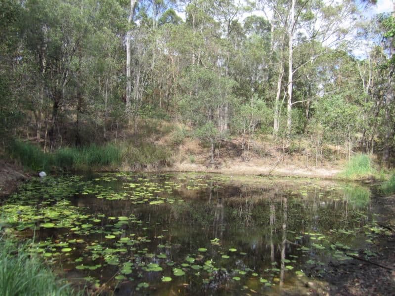 908 Traveston-Cooran Road, COORAN QLD 4569, Cooran - Thumbnail 4