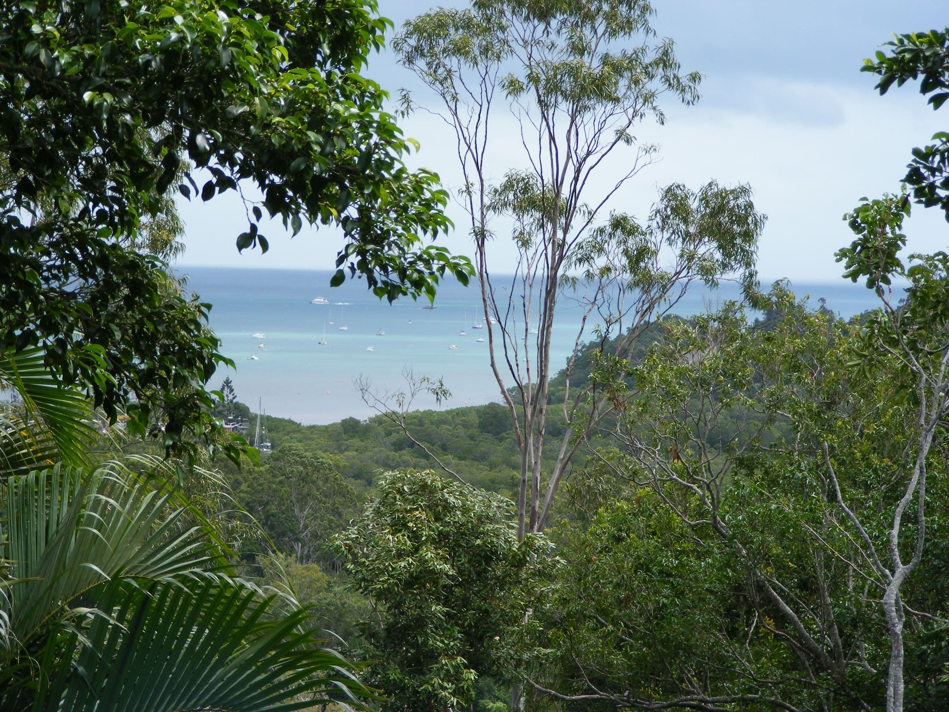 9 Cedar Crescent, Jubilee Pocket QLD 4802, Jubilee Pocket - Thumbnail 4
