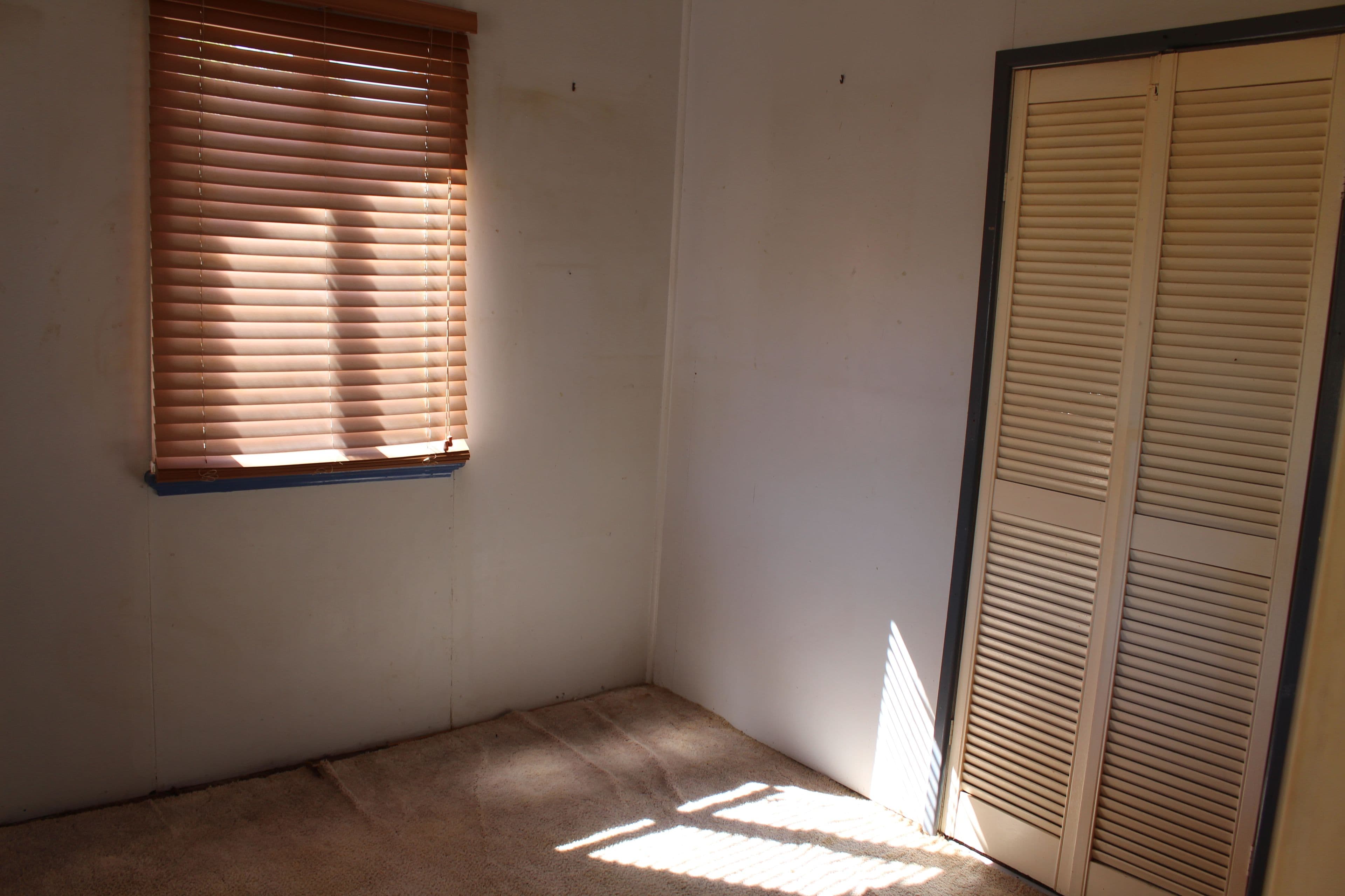 59 Cavanagh Street, Augathella QLD 4477, Augathella - Thumbnail 5