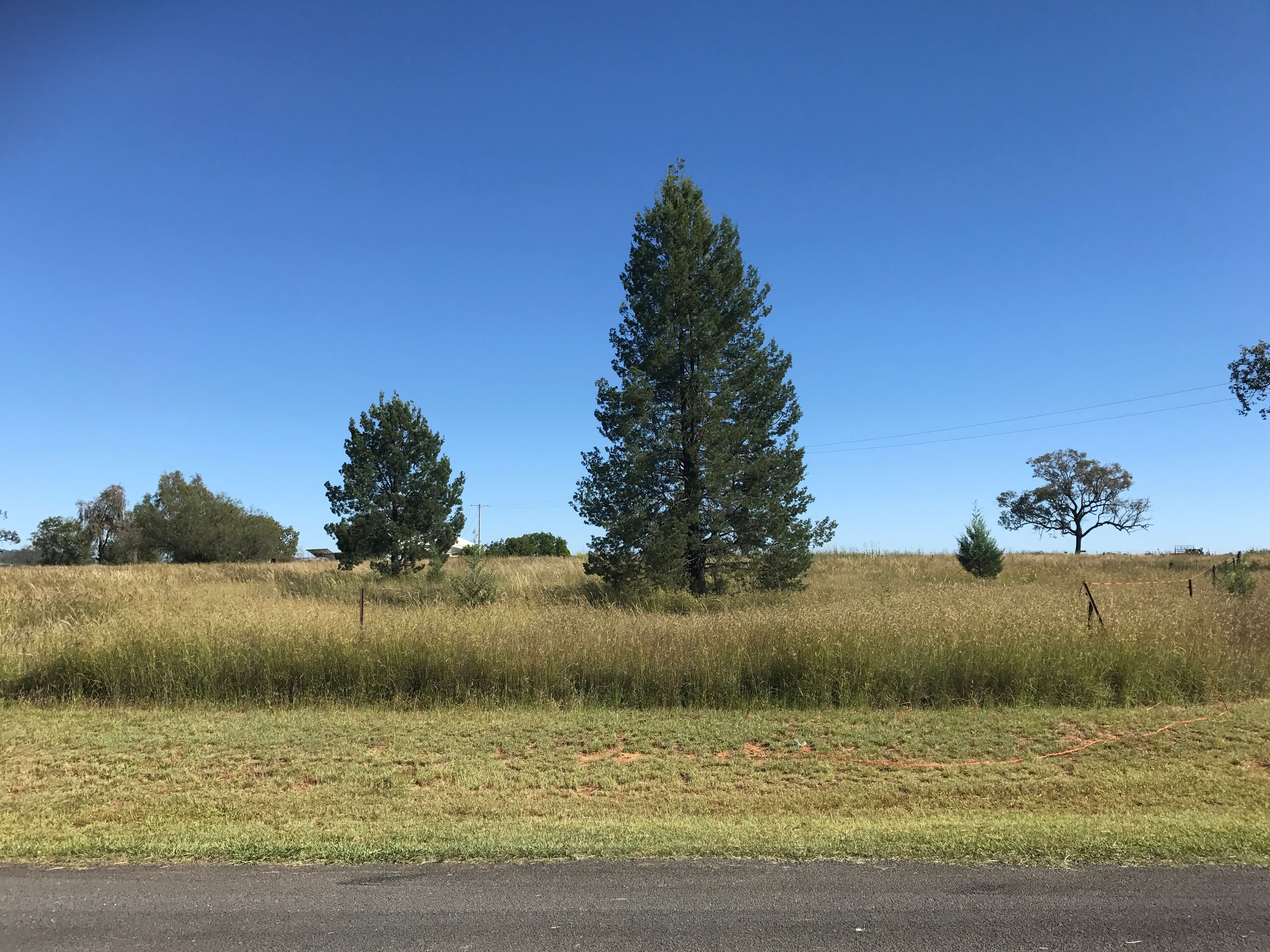 1 View Street, Warialda Rail NSW 2402, Warialda Rail - Image 1
