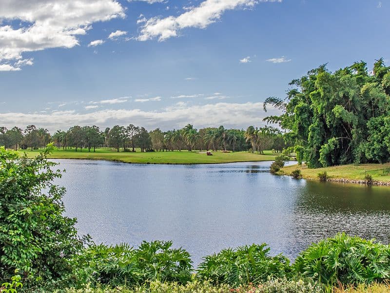 13 'Meadow Peak' 85 Palm Meadows Drive, CARRARA QLD 4211, Carrara - Thumbnail 2