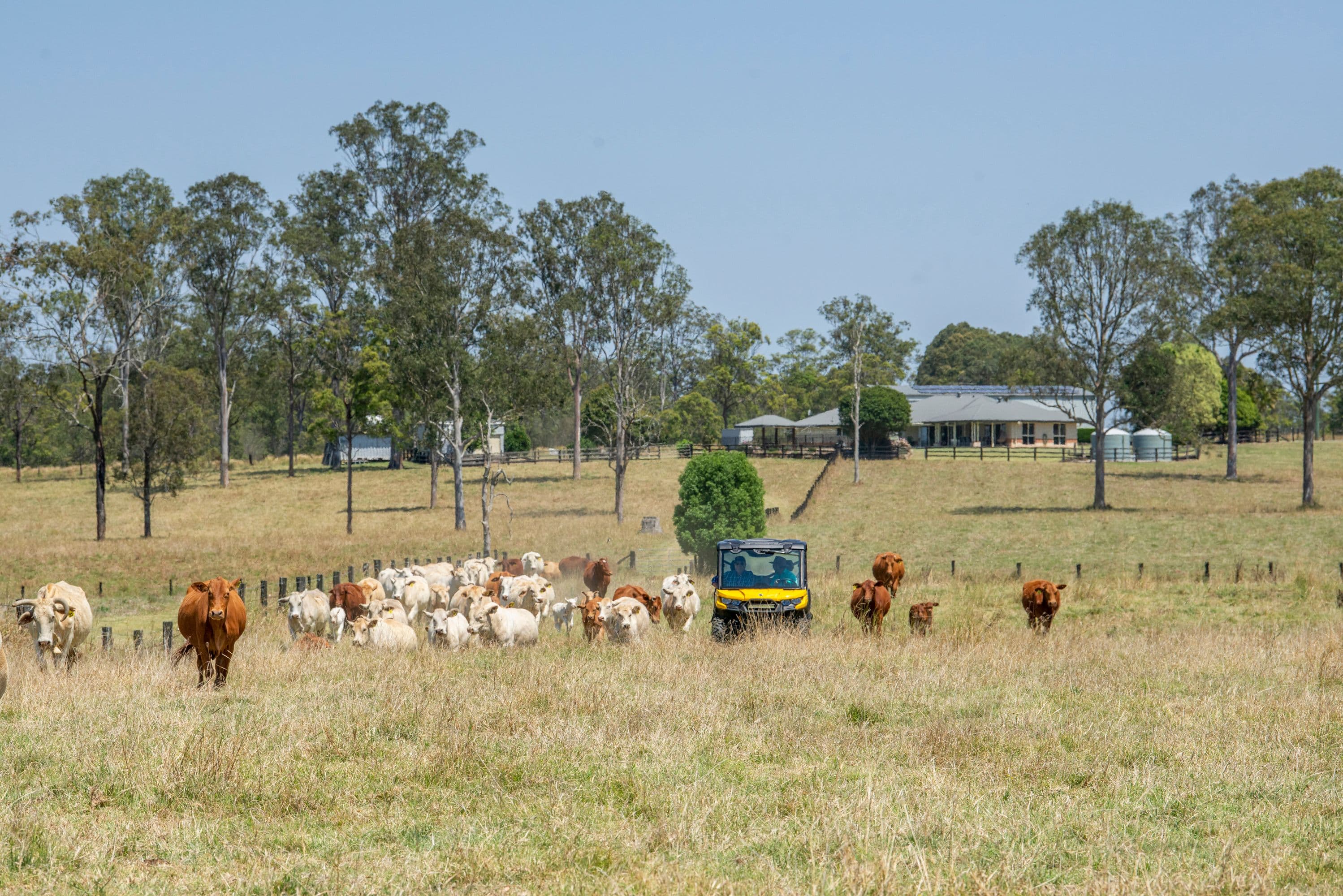 3364 D'Aguilar Highway, Stony Creek QLD 4514, Stony Creek - Image 1