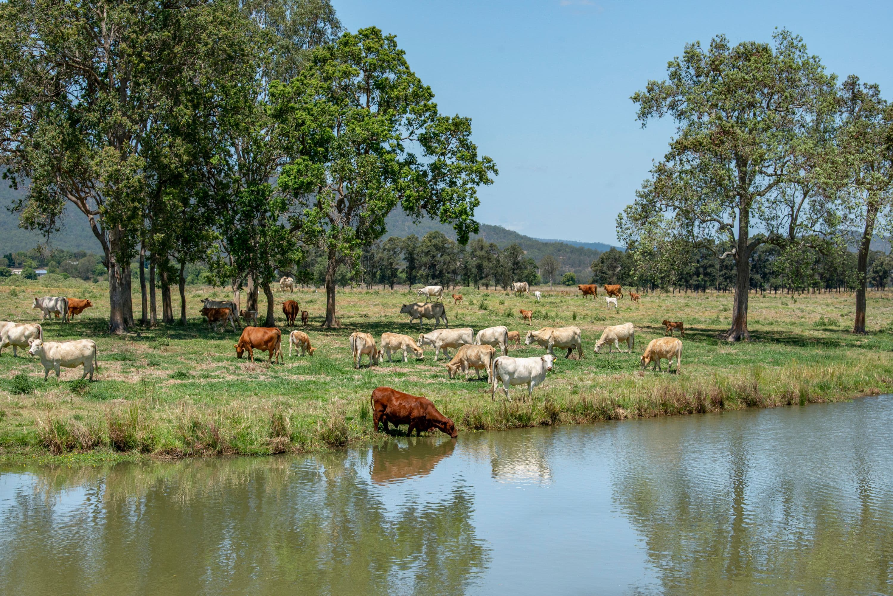 3364 D'Aguilar Highway, Stony Creek QLD 4514, Stony Creek - Thumbnail 2