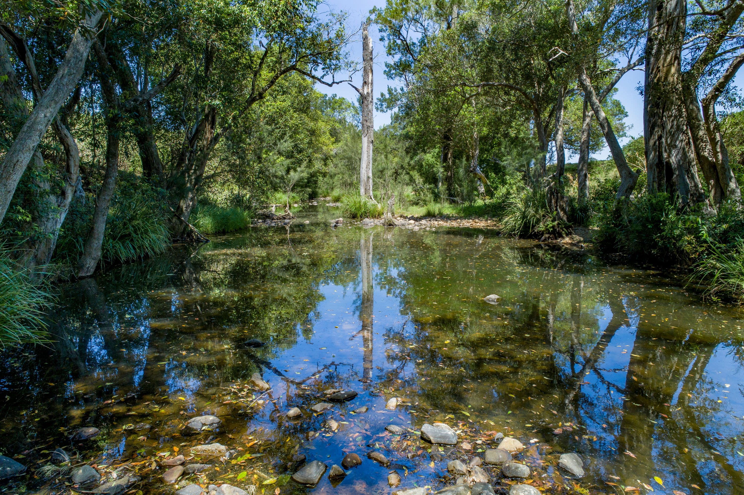 3364 D'Aguilar Highway, Stony Creek QLD 4514, Stony Creek - Thumbnail 4