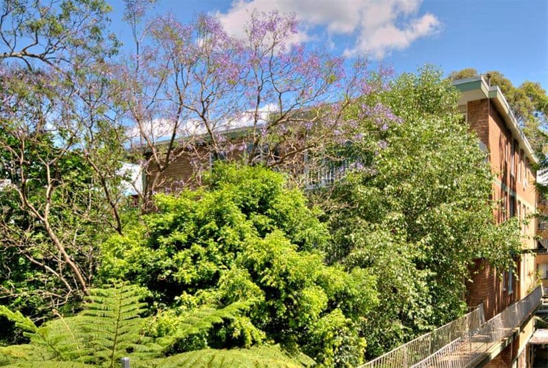 1b  Innes Road, GREENWICH NSW 2065, Greenwich - Thumbnail 4