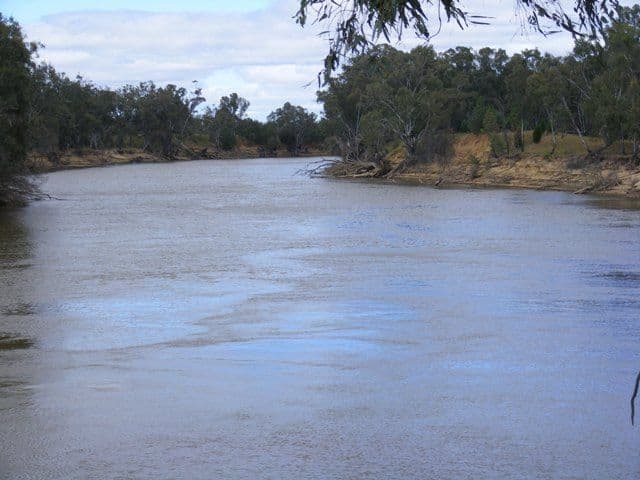 2070 Perricoota Road, MOAMA NSW 2731, Moama - Thumbnail 5