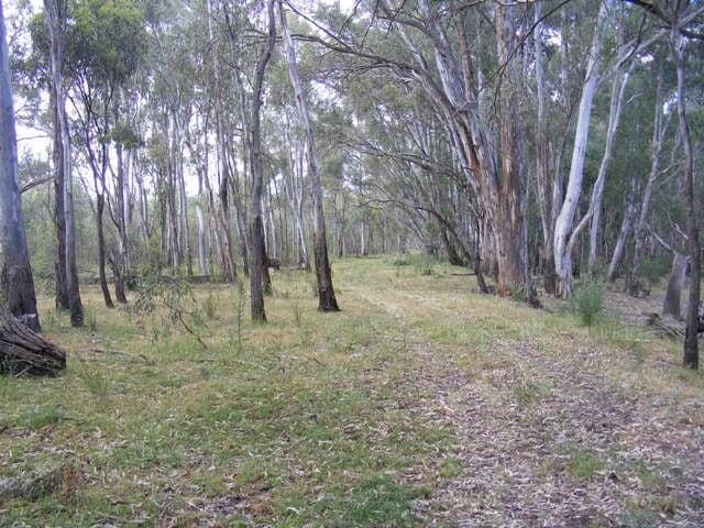 2070 Perricoota Road, MOAMA NSW 2731, Moama - Thumbnail 7