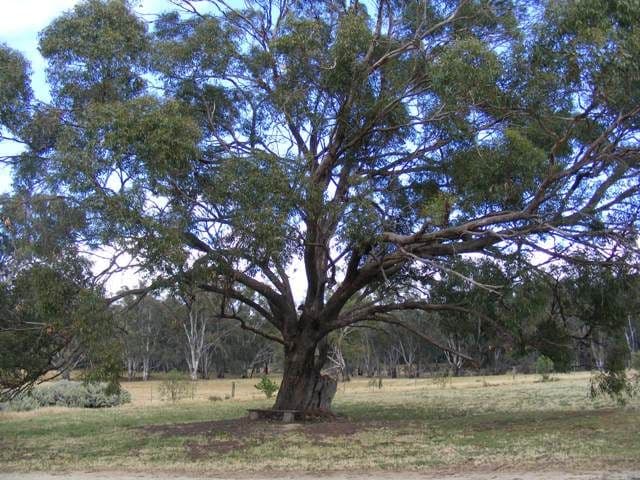 2070 Perricoota Road, MOAMA NSW 2731, Moama - Thumbnail 8