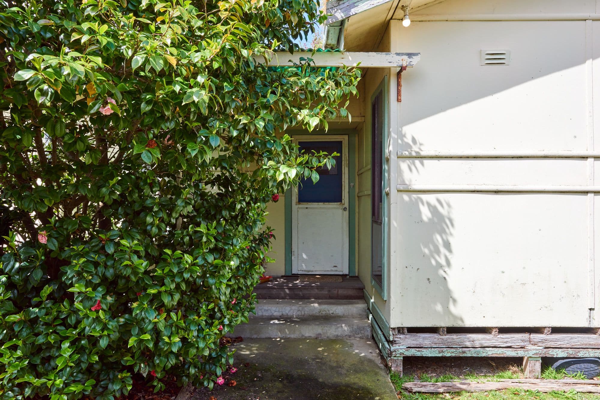 23 Cass Street, Rosebud VIC 3939, Rosebud - Thumbnail 6
