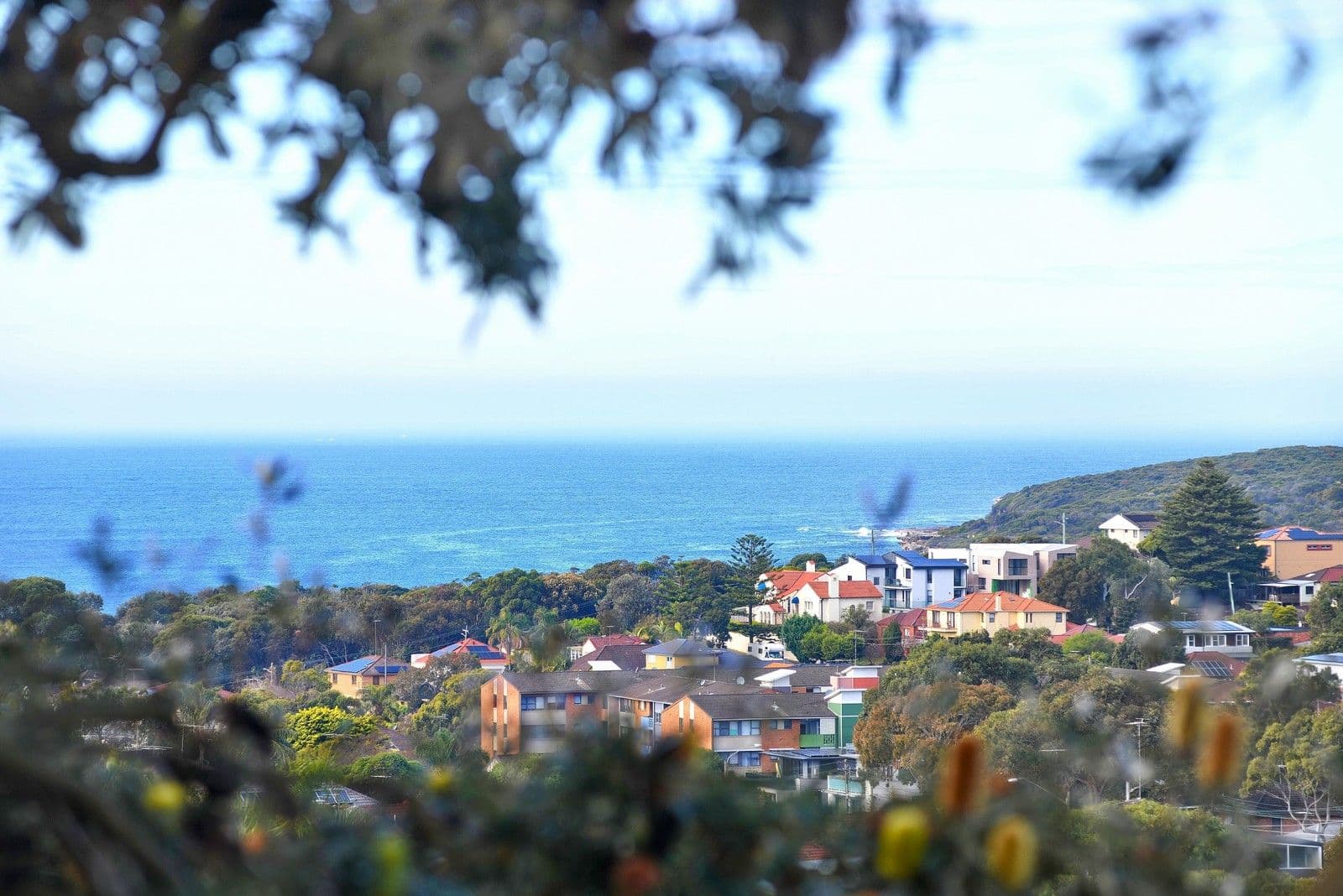50 Mons Avenue, Maroubra NSW 2035, Maroubra - Thumbnail 3