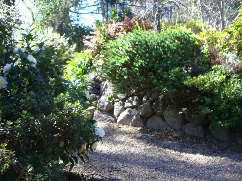 15 Gladstan Avenue, KATOOMBA NSW 2780, Katoomba - Thumbnail 7