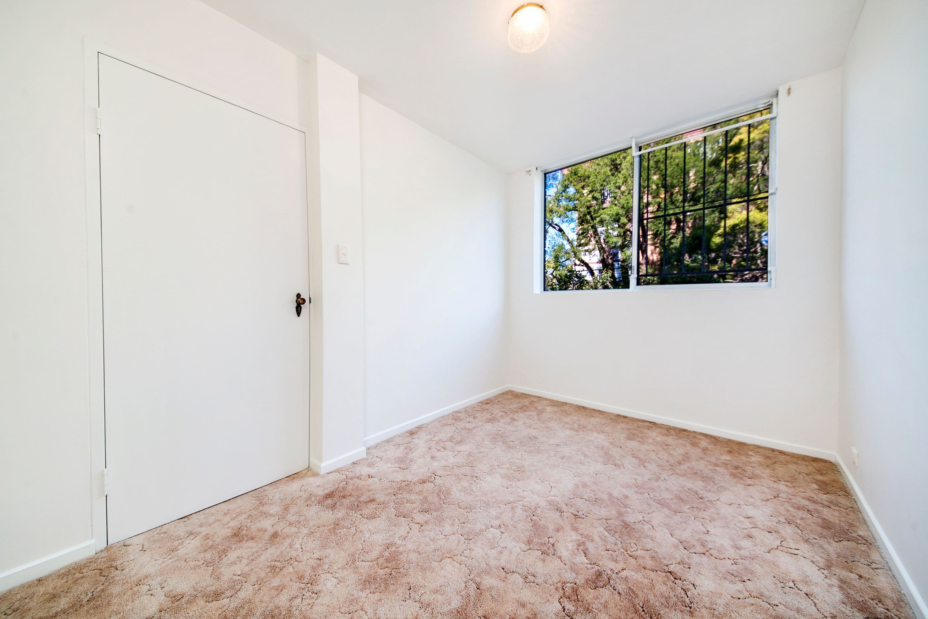 61 Rialto Street, Coorparoo QLD 4151, Coorparoo - Thumbnail 6