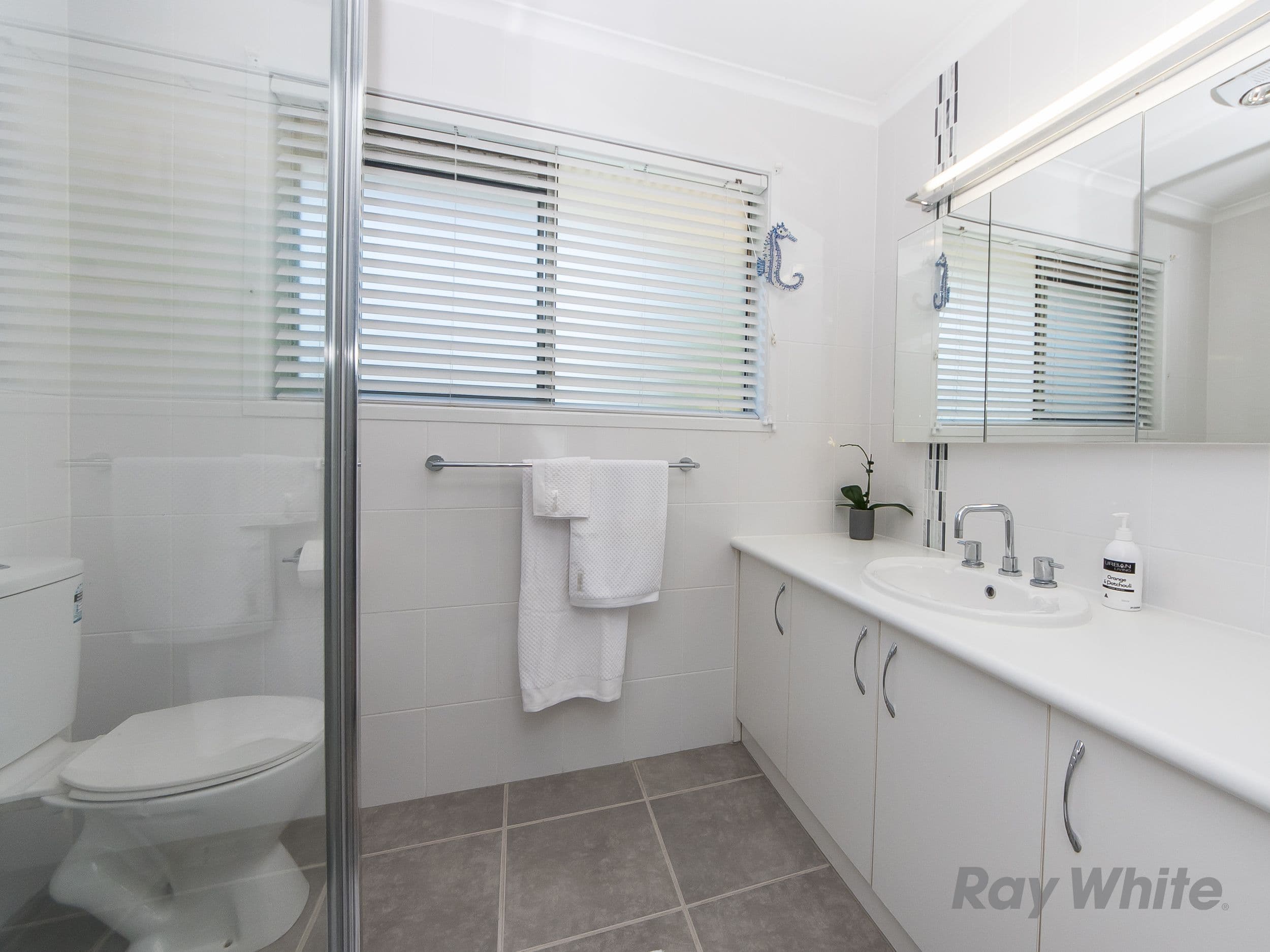 10 Barfoot Street, Bracken Ridge QLD 4017, Bracken Ridge - Thumbnail 6