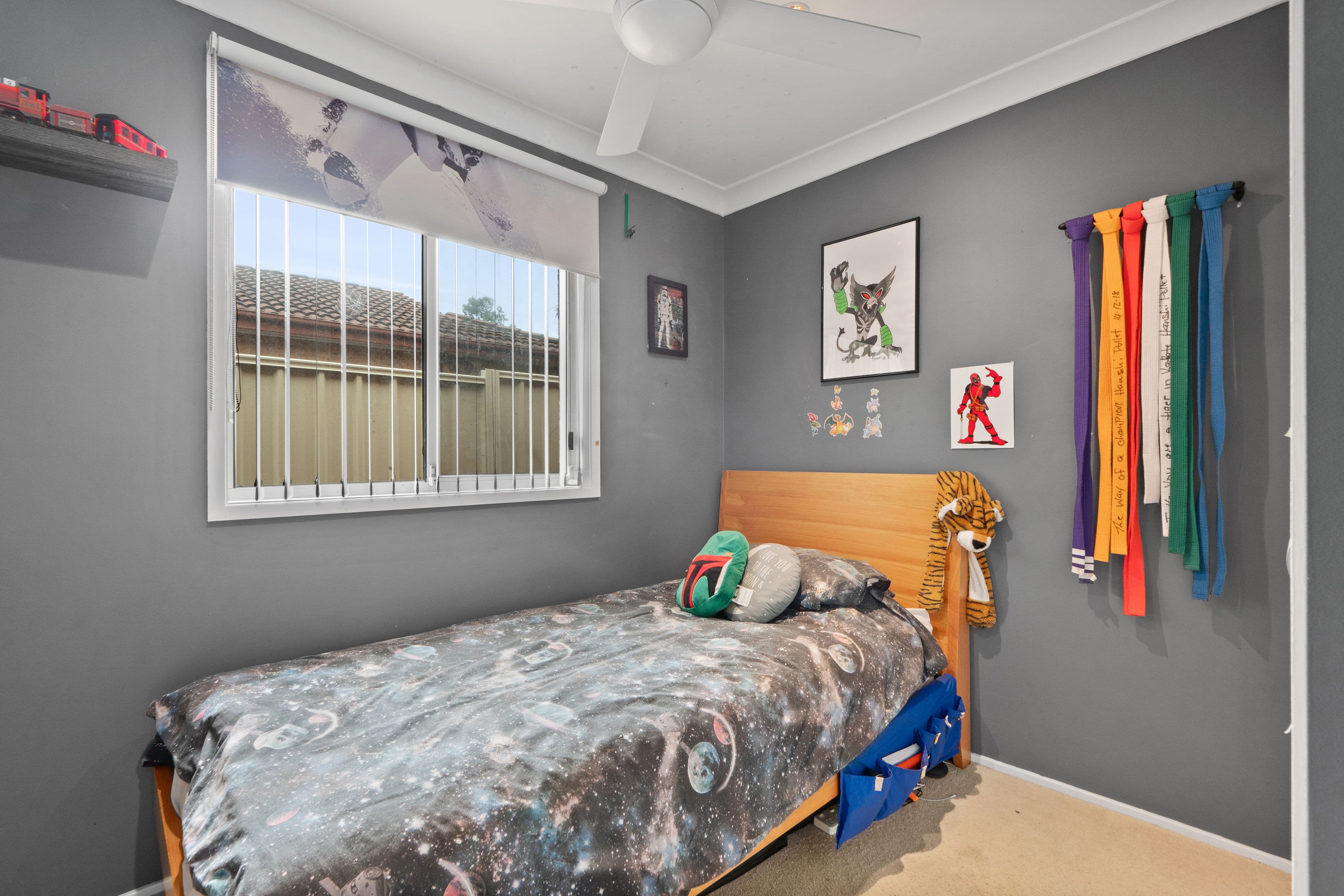 141 Pye Road, Quakers Hill NSW 2763, Quakers Hill - Thumbnail 7