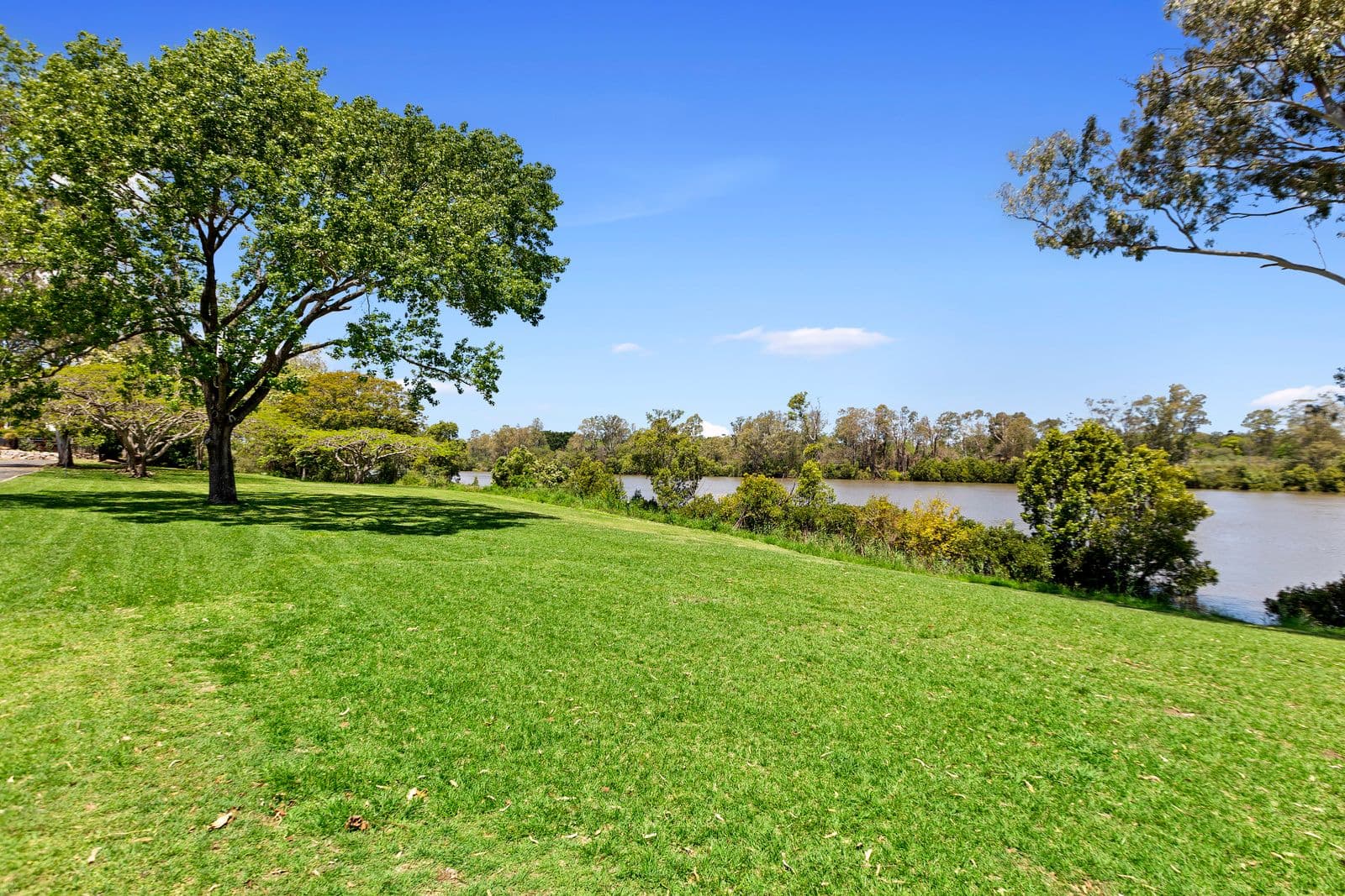 36 Anita Street, Yeronga QLD 4104, Yeronga - Thumbnail 8