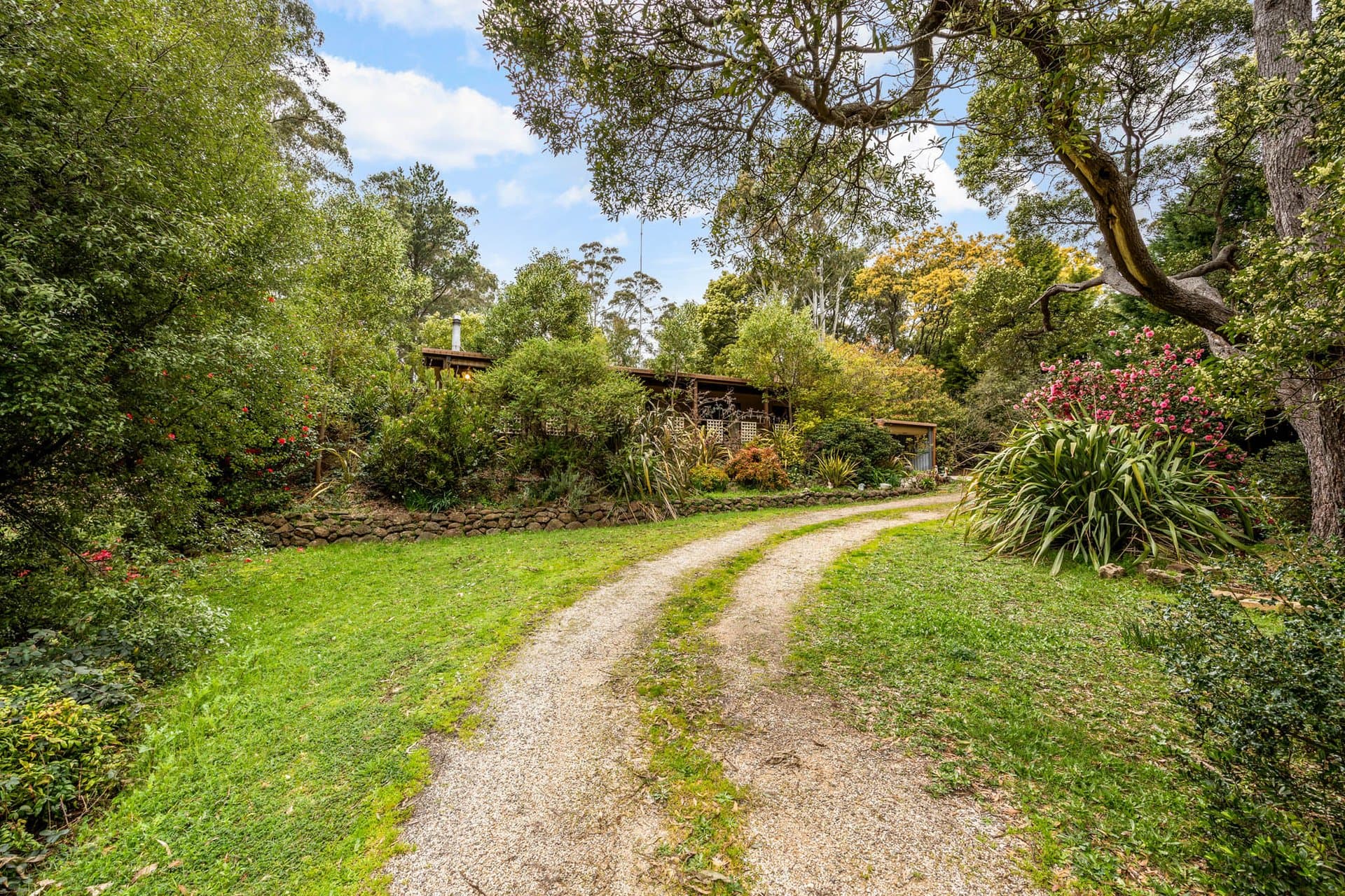 11 Rayner Court, Blackwood - Thumbnail 3