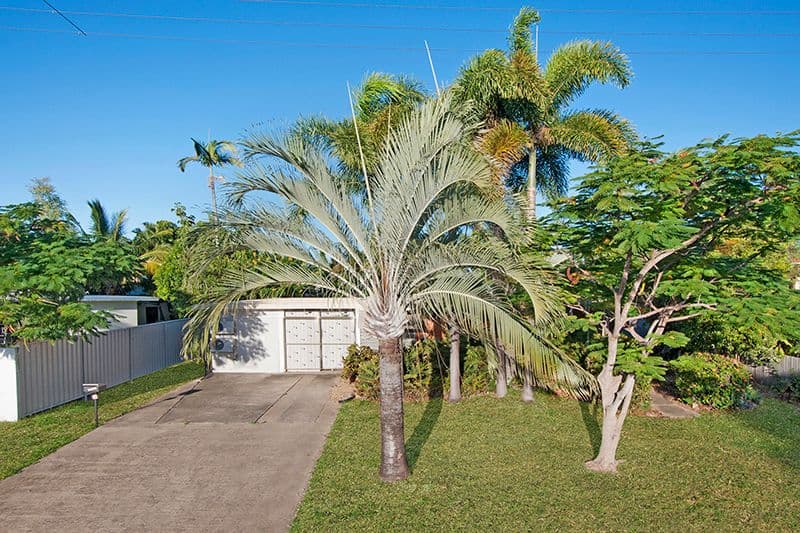 35 Brampton Avenue, Cranbrook QLD 4814, Cranbrook - Thumbnail 2