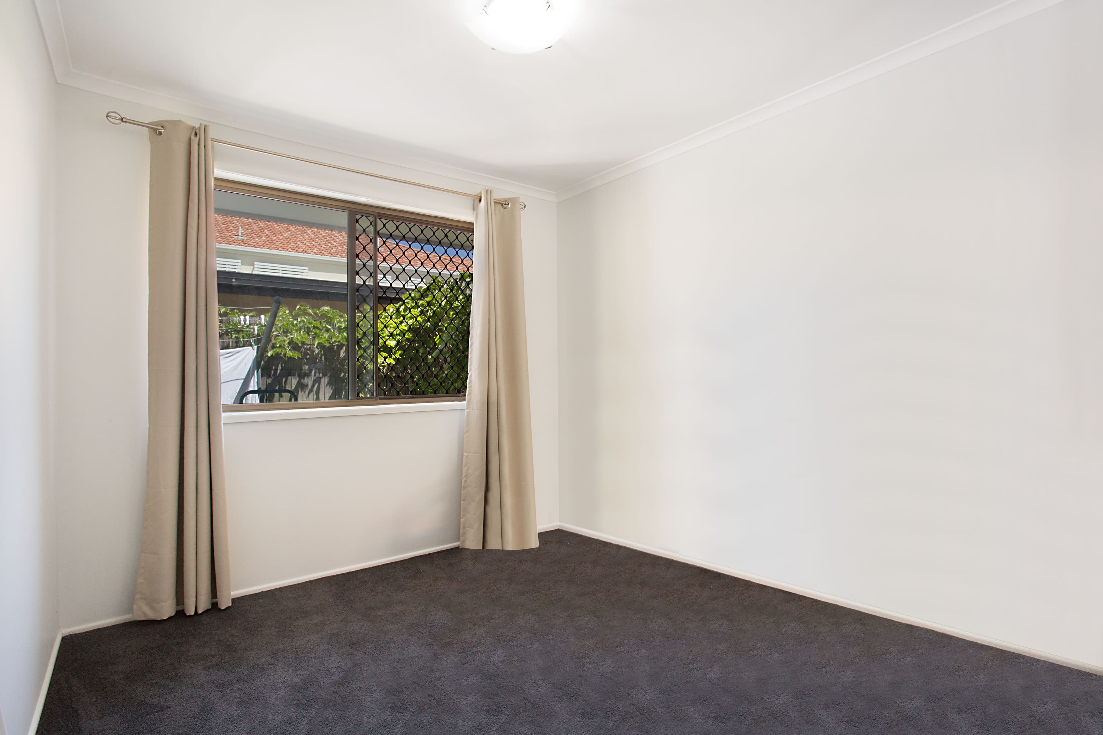 53 Albion Avenue, Miami QLD 4220, Miami - Thumbnail 5