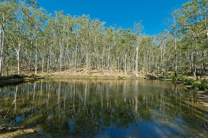38 Smiths Rd South, KURWONGBAH QLD 4503, Kurwongbah - Thumbnail 4