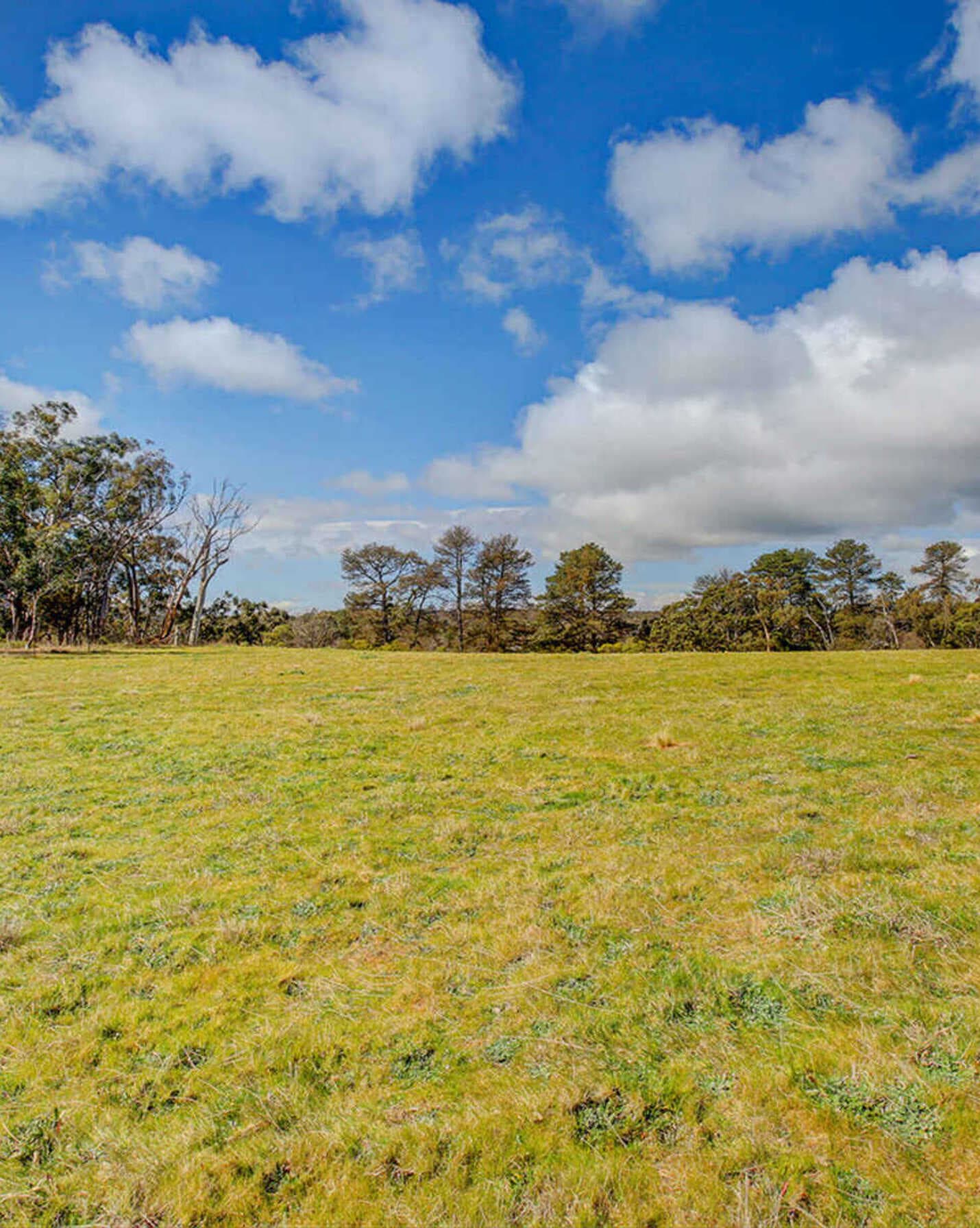31 Nathan Street Berrima, Berrima - Thumbnail 3