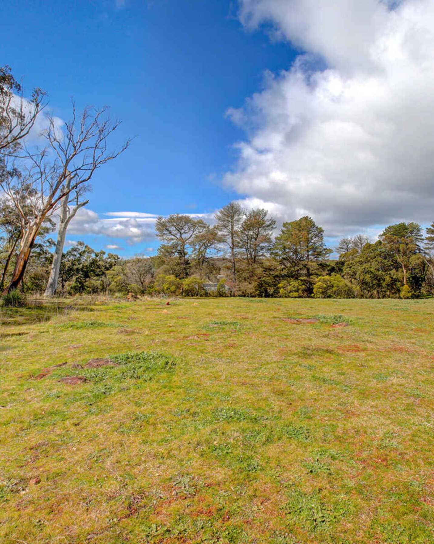 31 Nathan Street Berrima, Berrima - Thumbnail 4