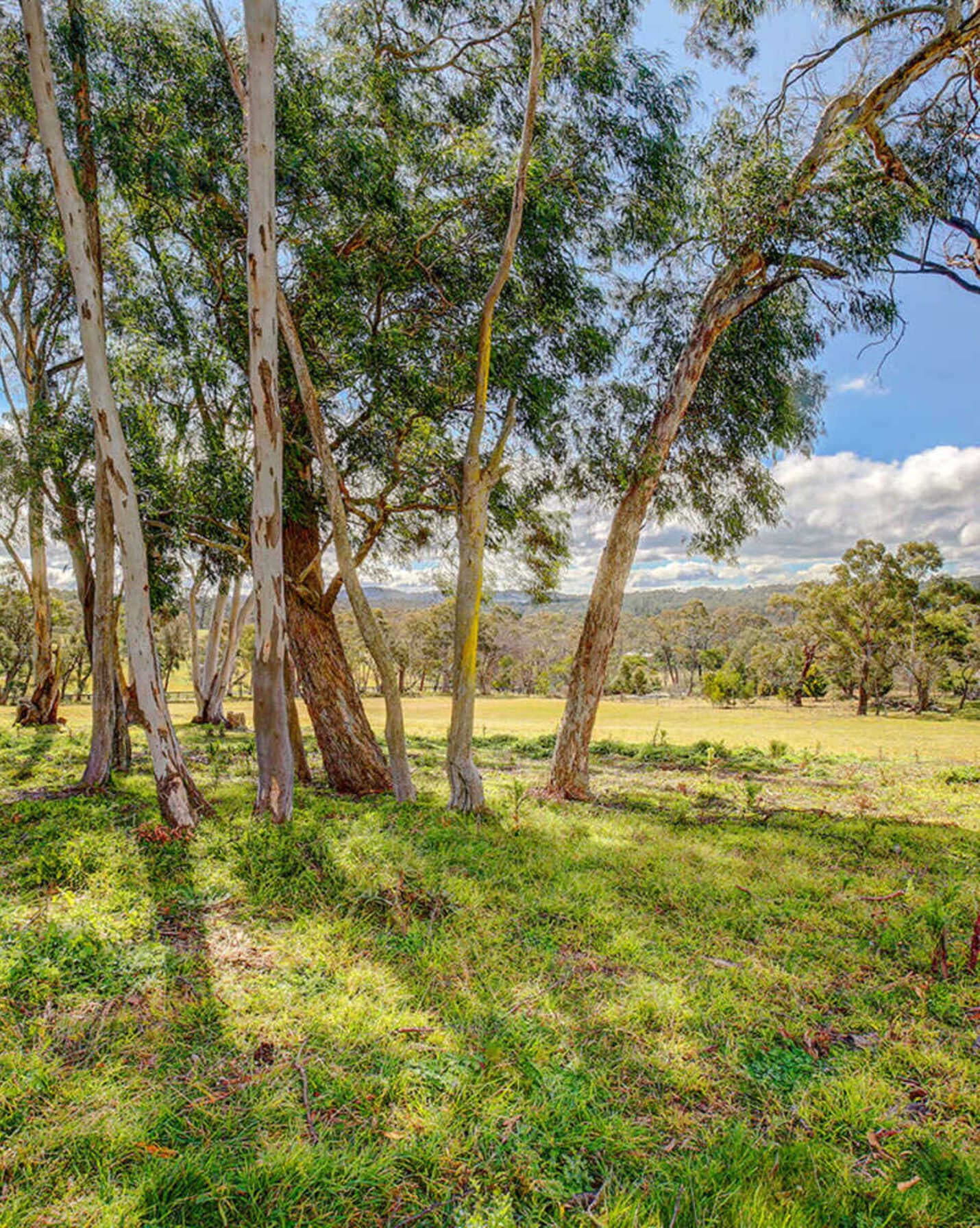 31 Nathan Street Berrima, Berrima - Thumbnail 5