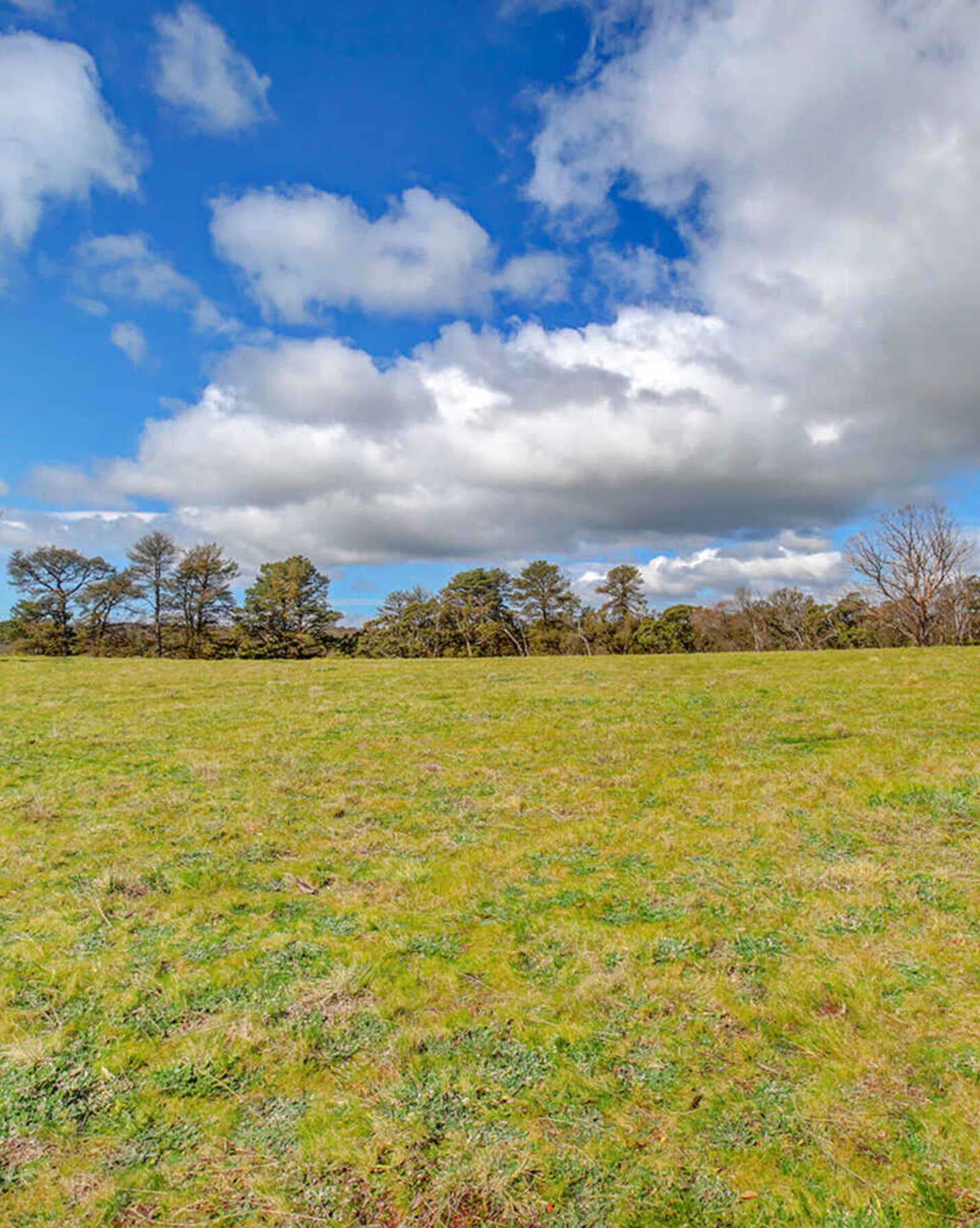 31 Nathan Street Berrima, Berrima - Thumbnail 7